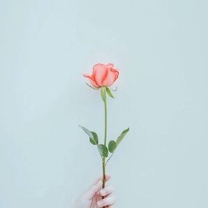 黑白小巷（Cover 少司命 / 灰原穷）