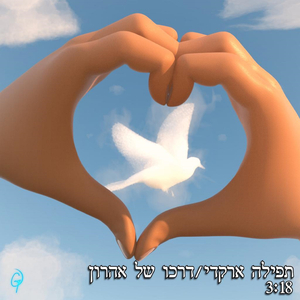 דרכו של אהרון