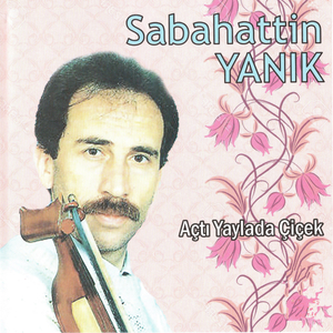 Çarşamba Günü Kurulu