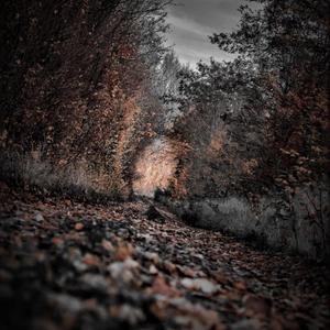 镇魂曲（TM88/TRAP TYPE BEAT）