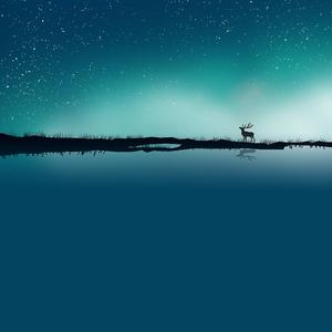 最远的你是我最近的爱