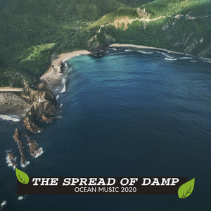 Crickets Sound After Rain