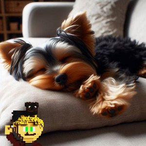 Calm Down Dog Part MCCCXLIX