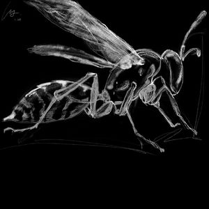 Blue（Prod by REVIVAL）