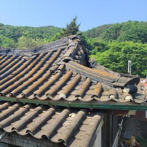 지금을 살아라FolkPop