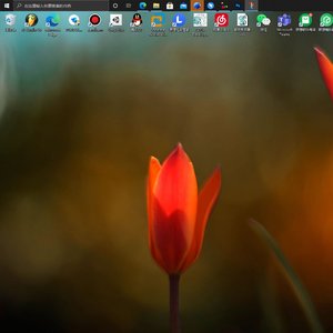 刚学会调音就随便做了这首歌
