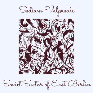 Sodium Valproate