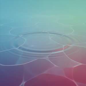 Silent Water