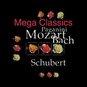 Brandenburg Concerto No. 2 in F Major, BWV 1047: III. Allegro assai