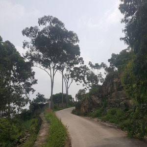 方向盘上的人生