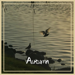 Autumn（Prod by BECU BEATZ）