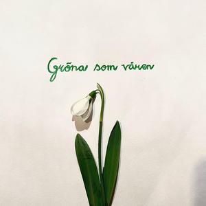 Alla vet vad den heter