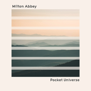 I Always Wanted A Brother