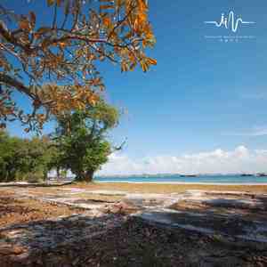 深雨燕纷飞 (陶冶身心葫芦丝曲)