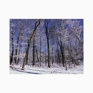 The Wolves (Act I and II)