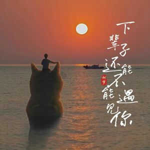 下辈子还能不能遇见你