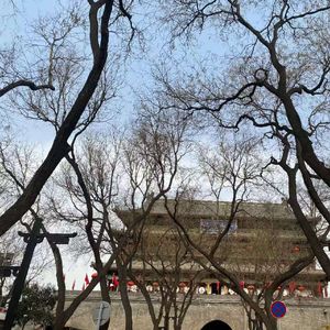 像影子的人-博文