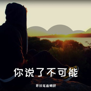 你说了不可能-纯音乐