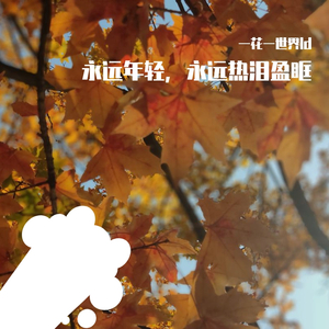 心欲止水-一花一世界ld