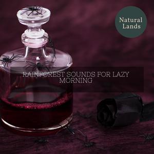 Nature Discovering Frogs