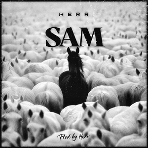 Sam
