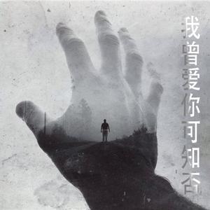 我曾爱你可知否