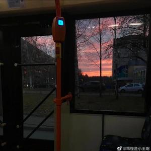 星辰不坠落（翻自 蓝心羽）