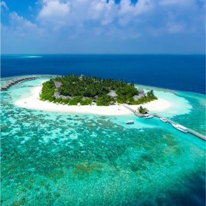 明月夜（翻自 小月）