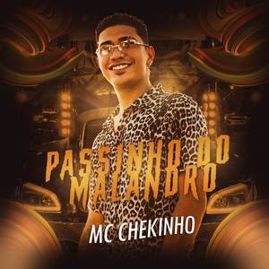 Passinho Do Malandro