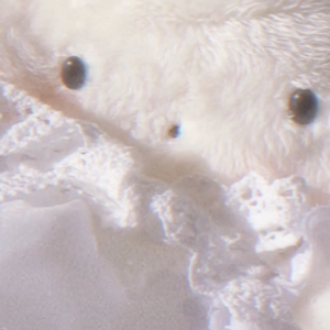 あたたか♡ゆ〜とぴあ(prod.Bonnytown)