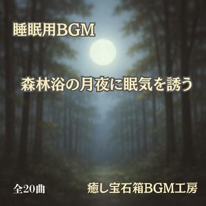 静かな音楽と風が語る眠りの道