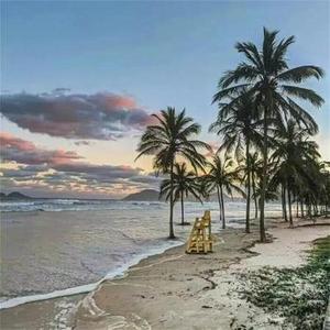 WHISTLE SA LATA LATA (TLL摇6)