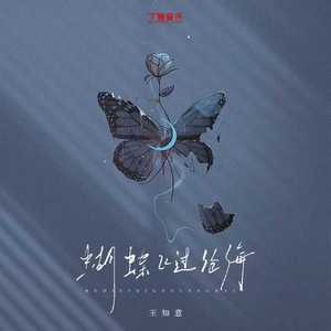 蝴蝶飞过沧海（纯伴奏）