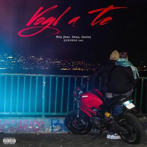 Vogl a te (feat. Gavio x Desaparecido)