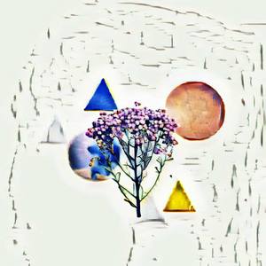 Embittered Confrontational