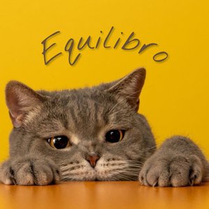 Equilibro