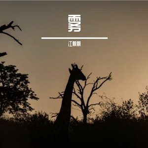 荷风送香