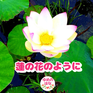 蓮の花のように