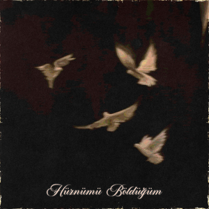 Hüznümü Böldüğüm