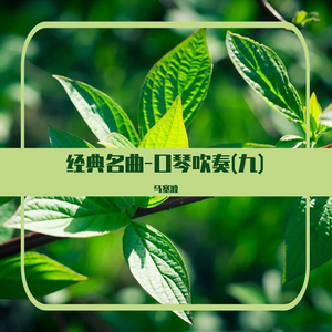 再见了大别山 (口琴吹奏)