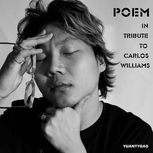 关于诗歌（致敬卡洛斯·威廉斯）
