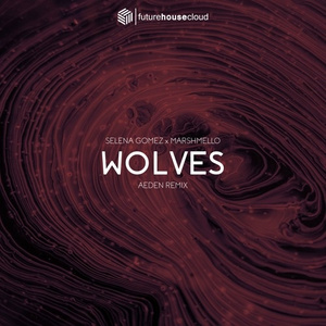 Selena Gomez, Marshmello - Wolves (Aeden Remix)