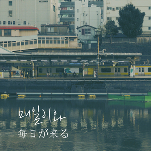 매일이 와