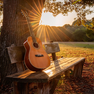 Camino De Enfoque De Guitarra