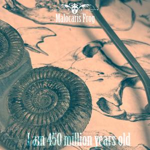 I am 450 million years old (feat. ANOMALOCARIS INC)