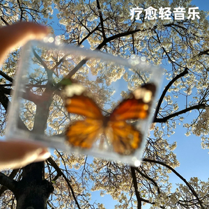 草原牧歌纯音乐・雄鹰翱翔在蓝天