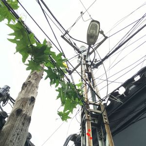 再见文汇路（Cover 安来宁）