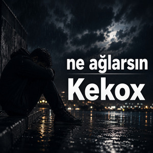 Ne Ağlarsın