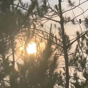 小幸运（原唱：田馥甄）