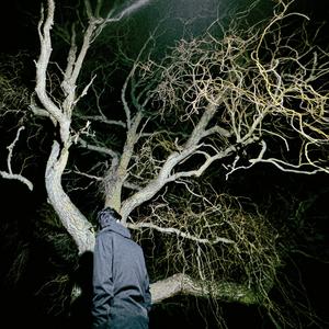 CHOCOLIGNO DE LA CATALUÑA